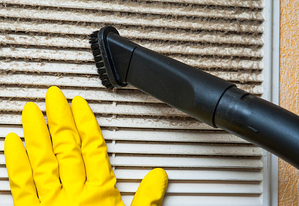 Air Duct Mold Removal in MI
